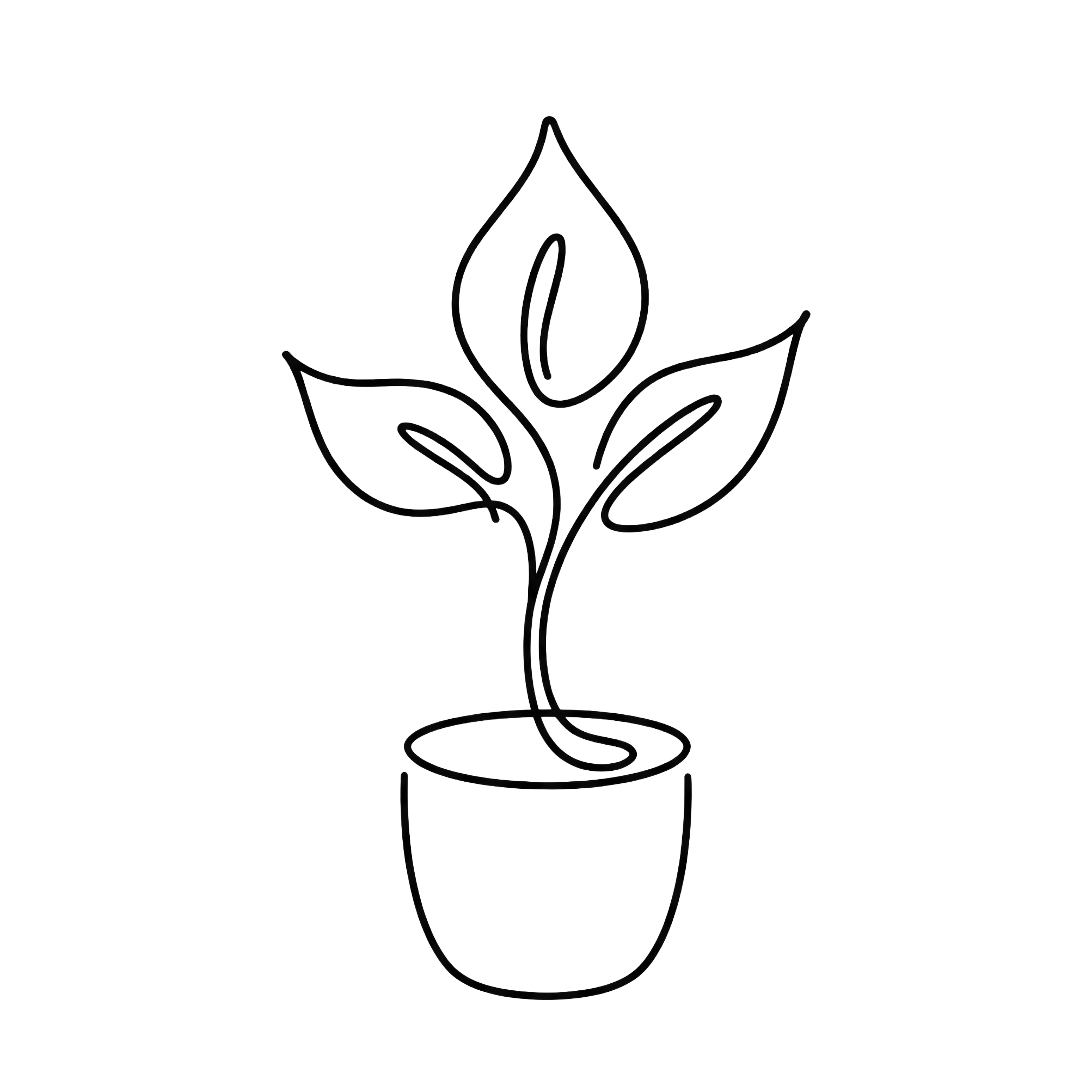 Antreprenori - Mici Afaceri